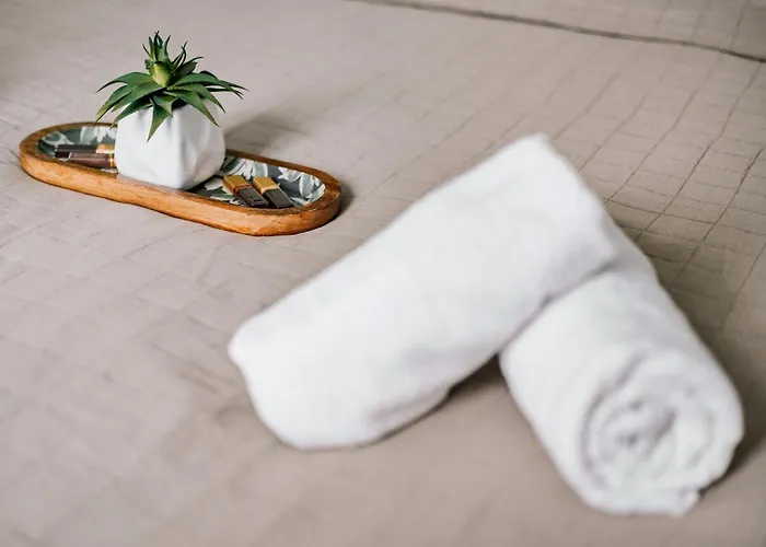 Deluxe Hillside Near Center Apartment